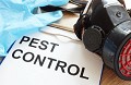 Magic City Pest Control Solutions